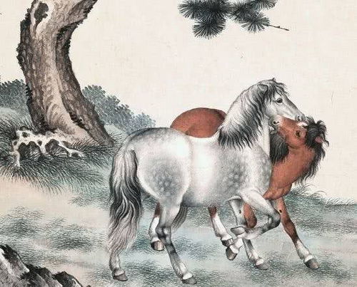 属马跟什么生肖最配对(属马的与什么属相最配)