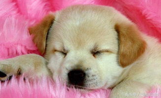 怎么查八字合不合婚(结婚八字合不合怎么算)