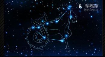 摩羯座帝王星座配对(摩羯座和什么星座最配 )