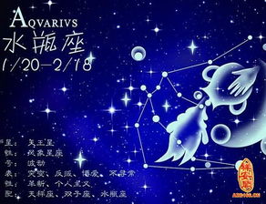 星座双鱼水瓶配对(水瓶座和双鱼座配对)