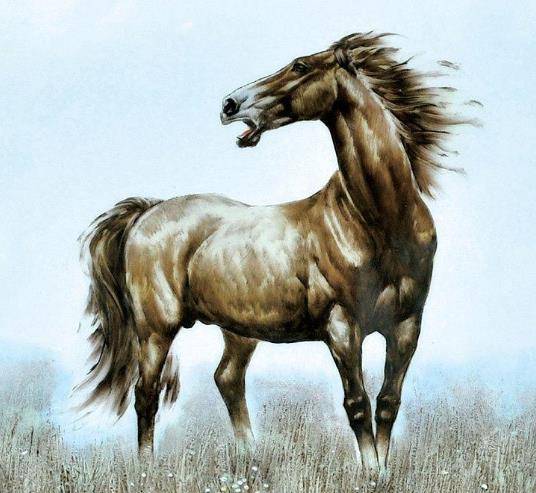 最心疼妻子的生肖马配对(十二生肖中,大家认为哪些生肖最怕老婆 哪些生肖最疼老婆 )