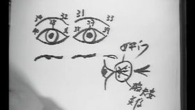 李居明生肖配对结婚(李居明大师讲婚姻属相,李居明大师趣谈十二生肖)