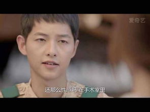 柳时镇姜暮烟星座配对(天上的太阳大结局)