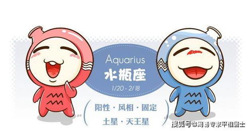 水瓶同象星座配对(与水瓶座最搭配的星座是哪个 )