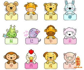 牛为兄猪为弟生肖配对如何(牛兄猪弟来报喜,羊前蛇到龙中间打一生肖)