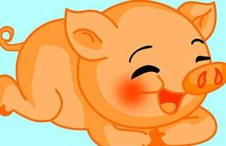 猪和什么生肖配对很好(属猪最佳配偶的属相是什么 )