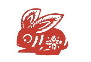 生肖婚配对虎配兔好吗(属虎跟属兔的合不合)