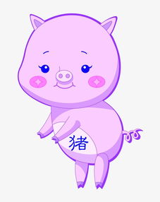 生肖猪属相配对姻缘表图片(1995男猪的最佳婚配,属猪的最佳婚姻配对)