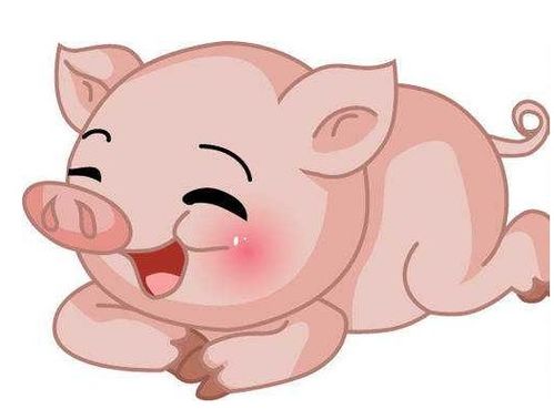 生肖猪的最佳婚配对象(猪的最佳配偶属相)