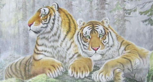 生肖虎和生肖狗配对吗(十二生肖最佳婚配虎和狗,属虎的属相婚配表)