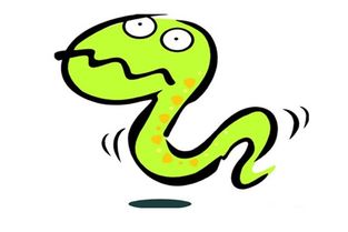 生肖配对大全鸡和蛇(蛇和鸡的婚配属相好吗,生肖蛇跟什么最配,属蛇的属相婚配表)