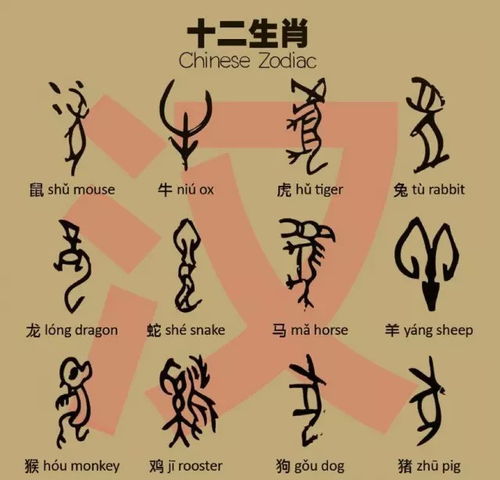 生肖配对表男虎女蛇(女属蛇男属虎婚配好吗)