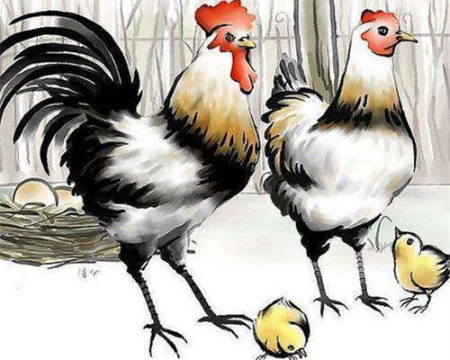 生肖配对鸡和马的子女(属鸡的和属马的配吗 要个什么属相的孩子最好)