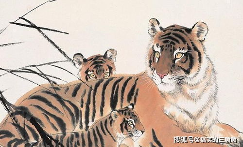 生肖马配对虎财运(马和虎在一起有财运吗)