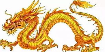 生肖龙配对图片大全及解析(生肖龙和生肖虎配对分析)