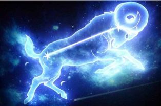 男摩羯座最佳配对星座(摩羯男和什么星座女最配 )