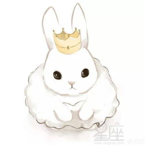 男猪女兔生肖配对(男猪女兔属相合吗 婚姻怎么样 )