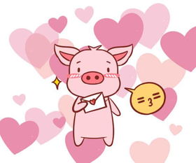 男猪跟哪个生肖配对(属猪和什么属相最配)