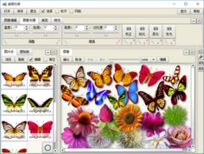 祥安阁生肖配对(生肖猿男和生肖猪女婚配,属相鸡女和属猪男配吗 )