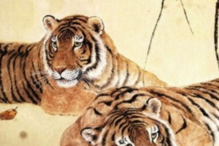 老虎蛇生肖配对最好(属蛇和属虎合不合)