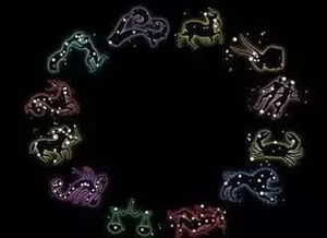 蛇夫座的最佳配对星座(蛇夫座女生跟什么星座的男生最配)