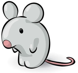 蛇鼠生肖配对父女(蛇,鼠相配合适吗 )