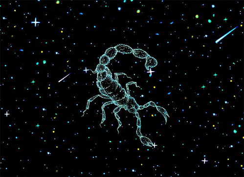 适合天蝎座的星座配对女(天蝎座适合找什么星座的女朋友 )