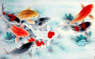 鸿运当头的生肖配对(鸿运当头最好的属相)