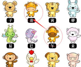 鼠和蛇的生肖配对指数(属鼠女和属蛇男在一起好不好生肖配对指数多少)