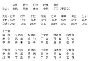 丁巳时柱命理分析男命婚姻(时柱看另一半哪里人,怎么查看另一半在哪里)