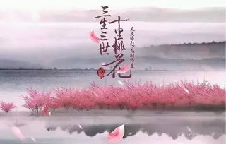 三生三世命理书籍推荐书目(有什么好看的书籍推荐下 )