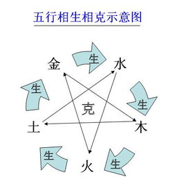 五行与命理四柱( 觉悟传统文化 周易 25 四柱八字)