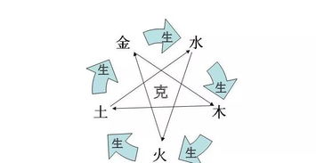 五行命理分析钓鱼图案(梦见家人钓鱼的预兆)