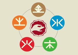 五行命理缺木缺金男孩命运(五行缺木男是什么命 )