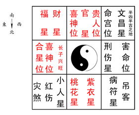 五行属猴的命理配置吉凶(属猴人的五行与人生事业)