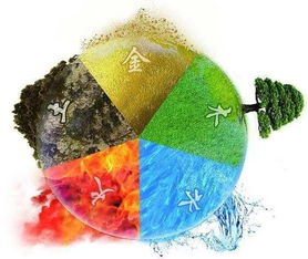 五行忌水喜金的命理是什么(喜用神为火忌金 忌水及忌寒土是什么意思 )