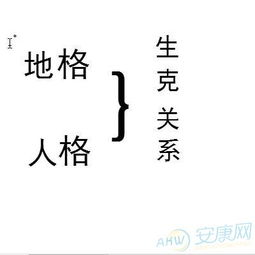 人格与地格的五行命理(天格人格地格代表什么)