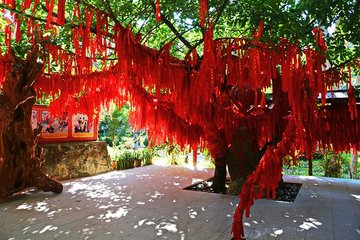 什么是正官格命理女命婚姻(八字排盘里正官格怎么理解)