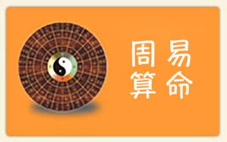 儿童八字命理分析书籍(关于学八字有哪些书经典的书)