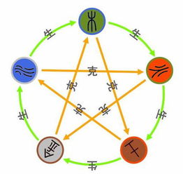 古代命理五行分析(五行中的命理都包括什么)