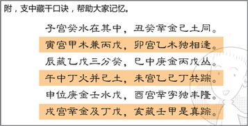 命理中地支半合怎么看婚姻(夫妻八字地支相合,夫妻相合是看天干还是地支)