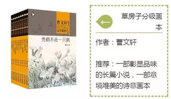 命理书籍图文并茂推荐书目(关于命理学的书籍 )