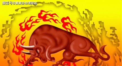 命理五行图解分析大全图片(出生年月日五行查询表,五行八字缺什么查询表)