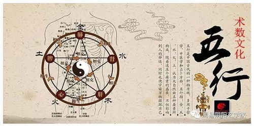 命理五行怎么平衡才好(强攻土,怎么金木水平衡)