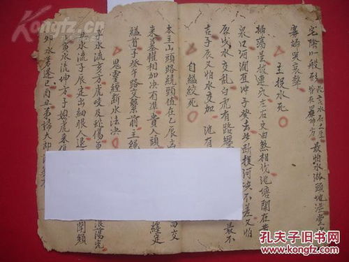 命理五行手掌图解大全书(女性手掌纹路图解)