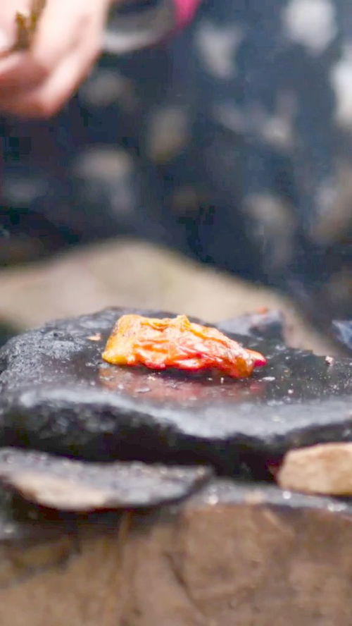 命理五行语录大全集(形容算命的句子)