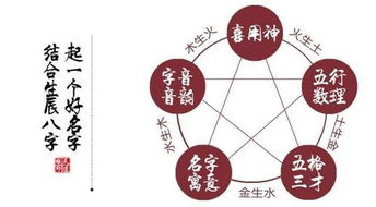 命理五行金的名字(五行属金起名字有哪些字)