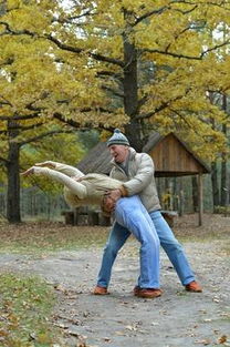 命理八字带食神的男人婚姻(日坐食神七杀男命配偶)