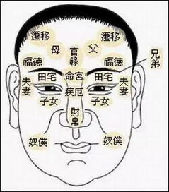 命理十二宫的五行详解图(金木水火土,五行在12宫代表的含义)