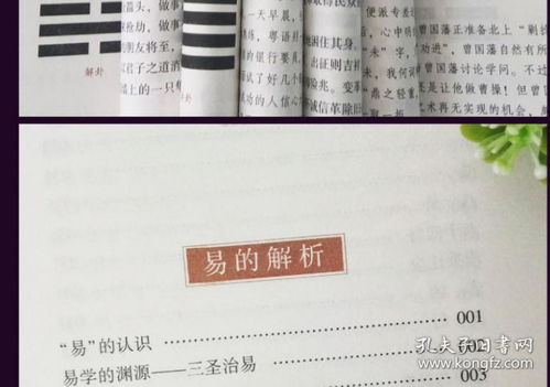 命理图解解析书籍推荐(想学习八字算命,推荐几本书看看)
